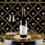 Rượu Vang đỏ Ý Talo Malvasia Nera Puglia 2018 13.5% 750ml