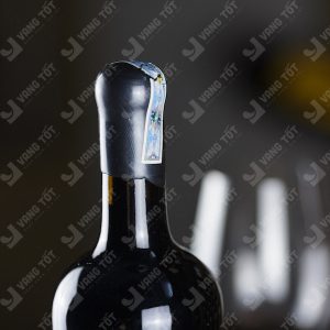 Rượu Vang đỏ Ý Tolucci 16 IGT Puglia 2019 16% 750ml